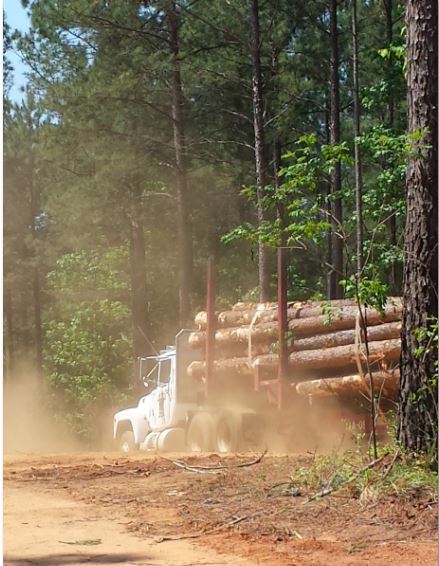 Timber Supply and Demand Trends Confirmed by New FIA Data