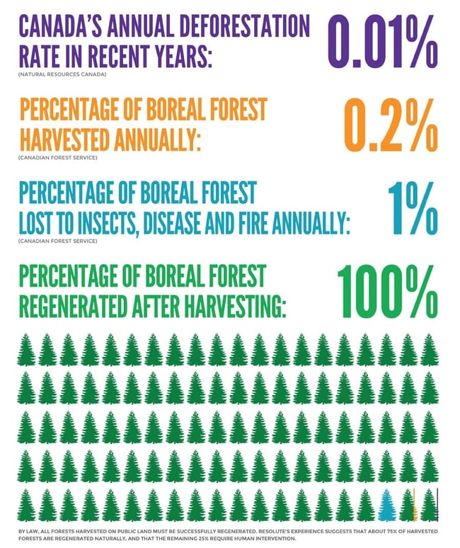 Boreal_Forest_Infographic.jpg