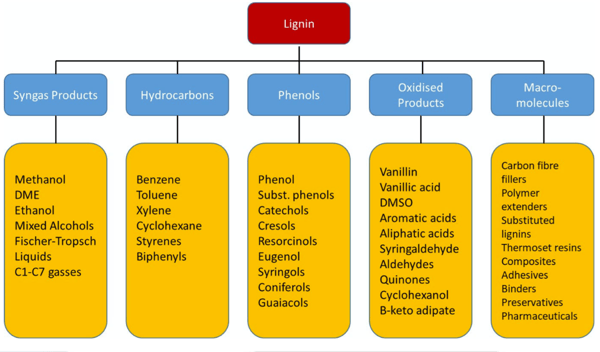 Caption: Potential Products from lignin. Source: IEA