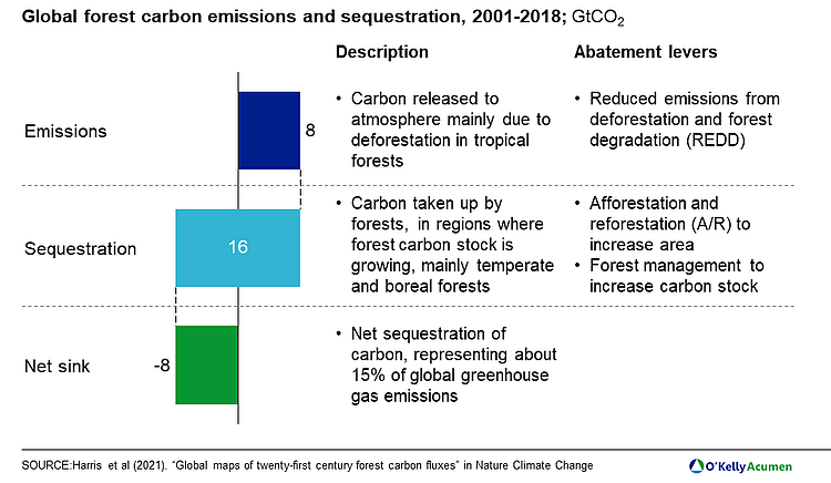 bar chart illustrating global forest carbon emissions and sesquestration data.