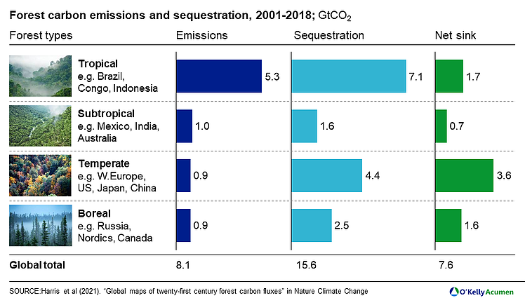 Bar chart illustrating forest carbon emissions and sequestration by forest type and geography.