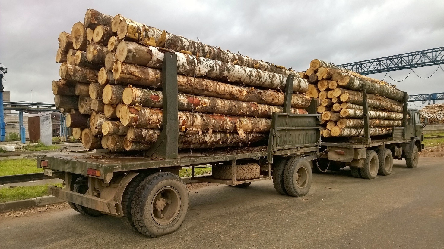 Russia’s Proposed Roundwood Export Ban Would Impact Global Trade