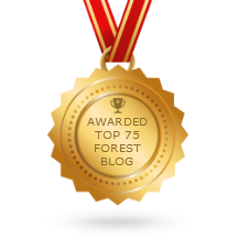 Forest2Market Ranked #30 in List of Top 75 Global Forest Blogs