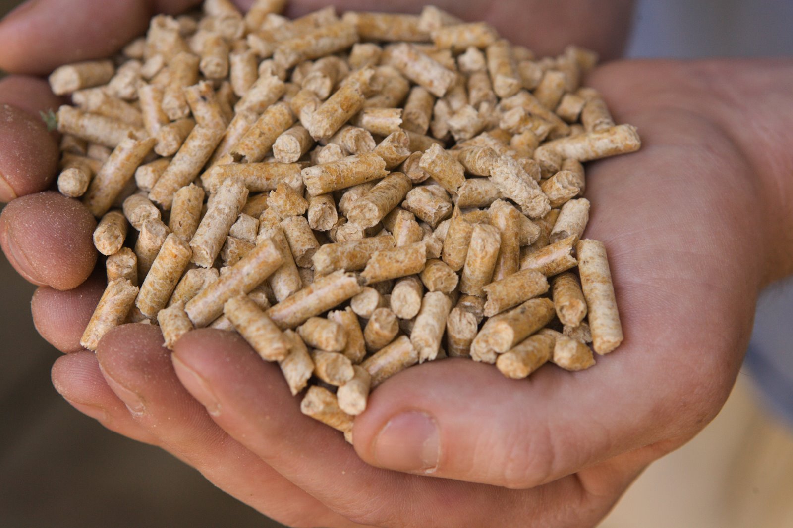 AEBIOM Releases 2016 Biomass Report & Outlook