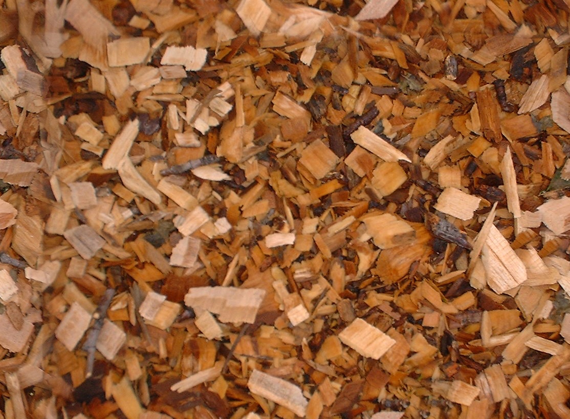 Forest Biomass Receives Carbon-Neutral Classification in Senate Amendment