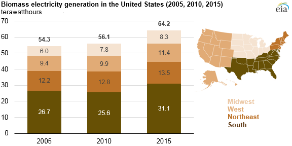 US South Leads Growth in Biomass Electricity Generation; Costs Remain High