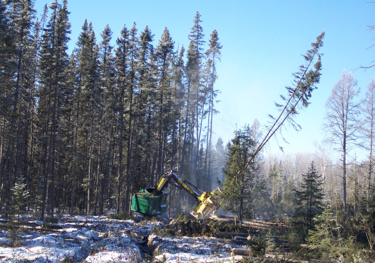 Changing Timberland Ownership Creates Challenges for Lake States Forest Industry