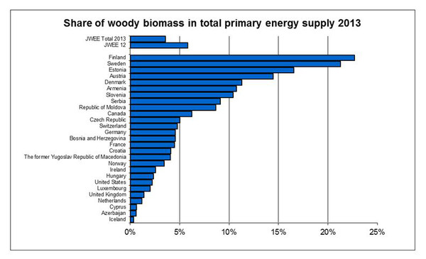 Wood Remains the Preferred, Primary Renewable Energy Source in Europe