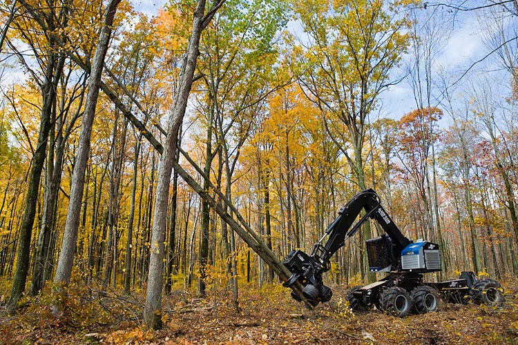 Climate Change Research Focuses on Great Lakes Forests