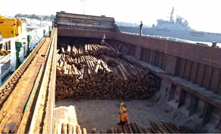 Japan's Booming Timber Exports Driven by Chinese Demand