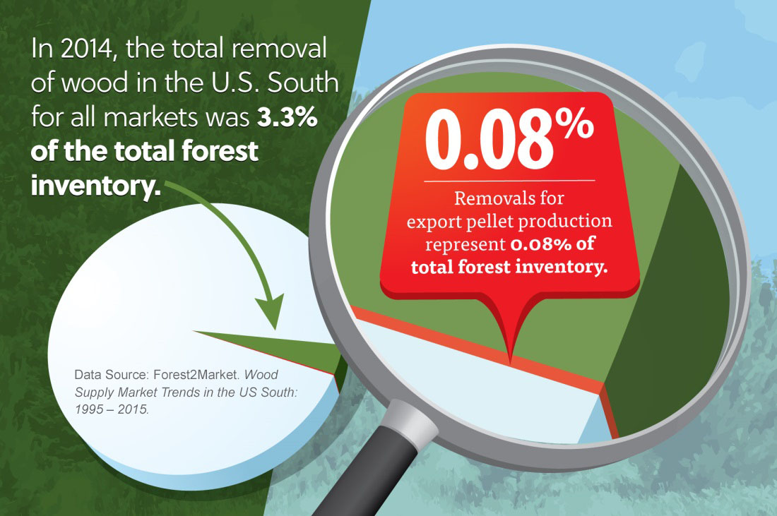 Forest2Market Study Shows U.S. Wood Pellet Industry No Threat to U.S. South Forests