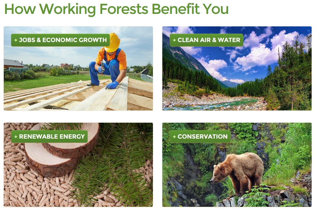 How to Change Public Perceptions of Forestry and the Forest Products Industry