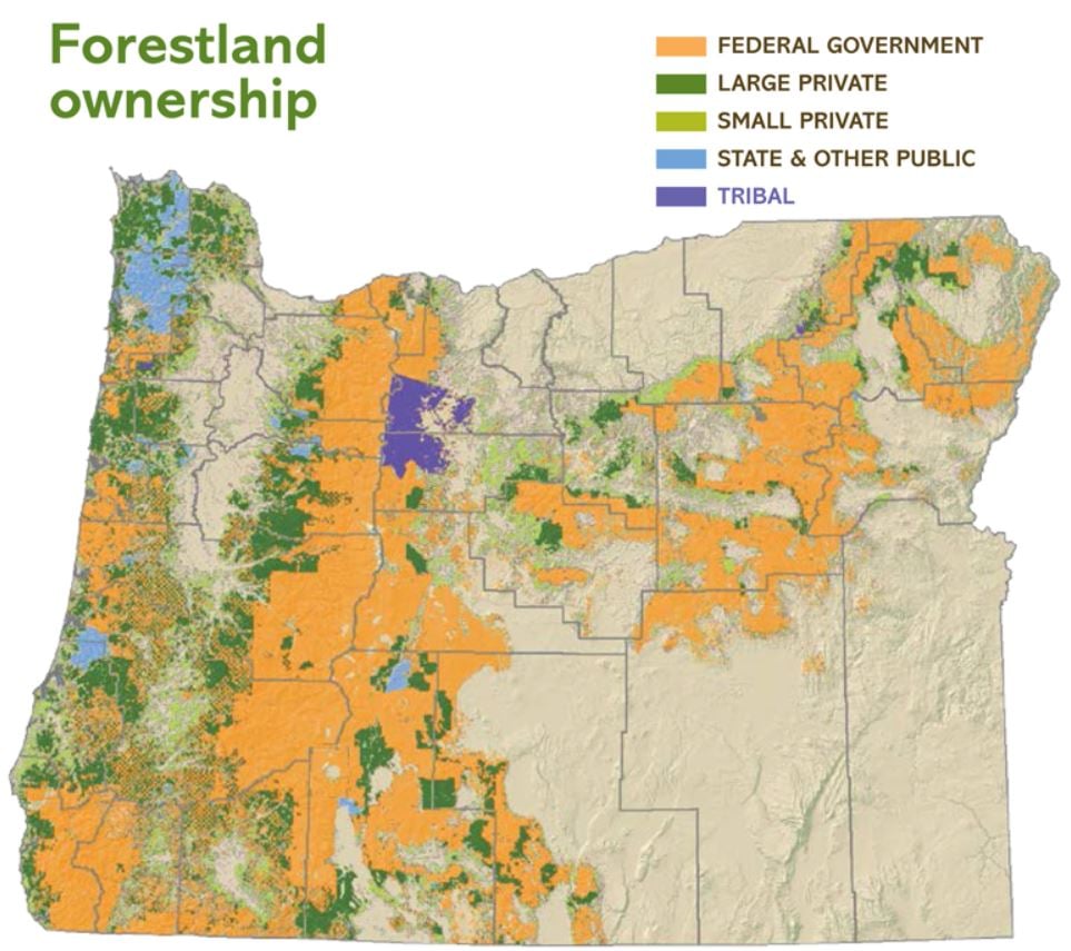 Data Tells the Story of Oregon’s Forests