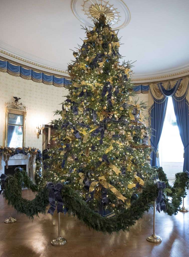Real Christmas Trees May be Hot Commodities this Holiday Season