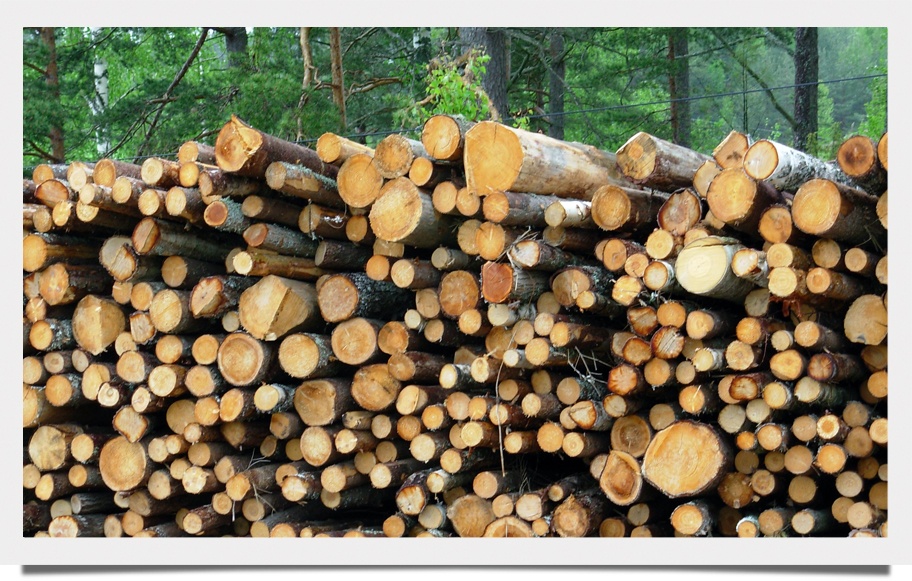 9 Predictions for Global Wood Consuming Industries in 2016