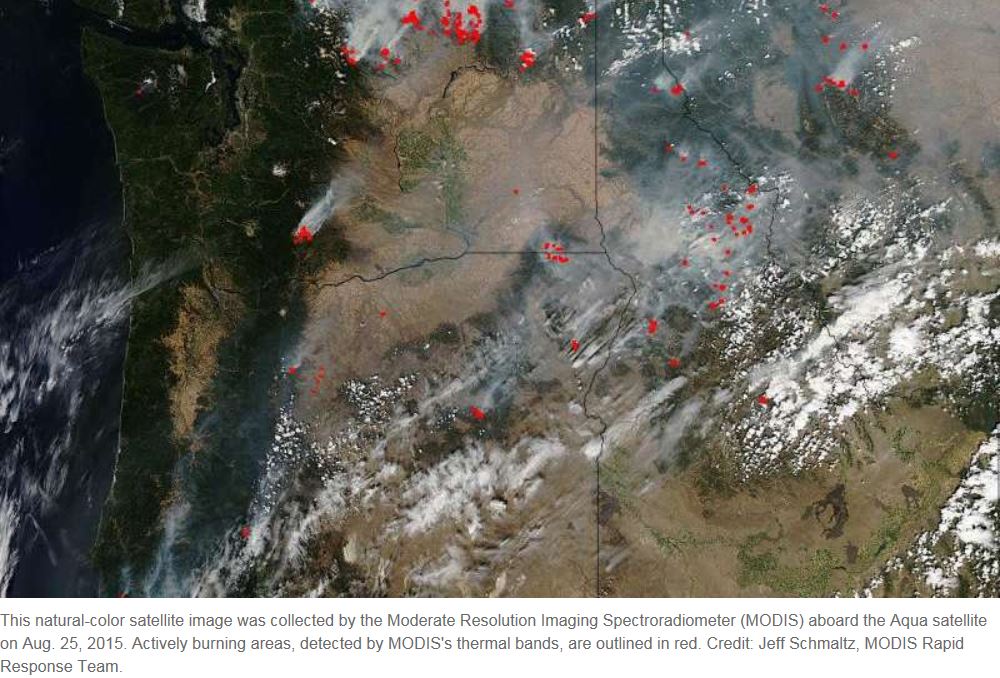 PNW Wildfire Fight Deserves Fresh Legislation Focused on Forest Management