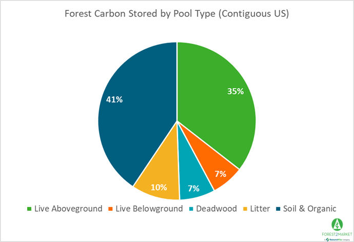 What Forest Carbon Pool Types Store the Most Carbon in the US?