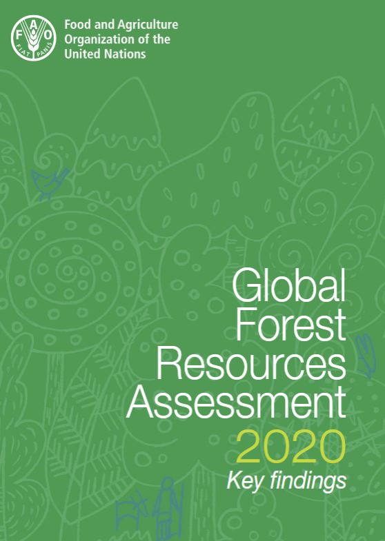 FAO Publishes Key Findings of Global Forest Resources Assessments 2020