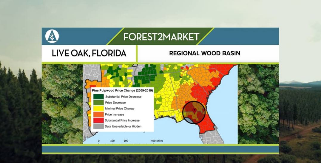 WATCH: Timber Market Expert Analyzes Developments in Florida/Georgia Wood Basin