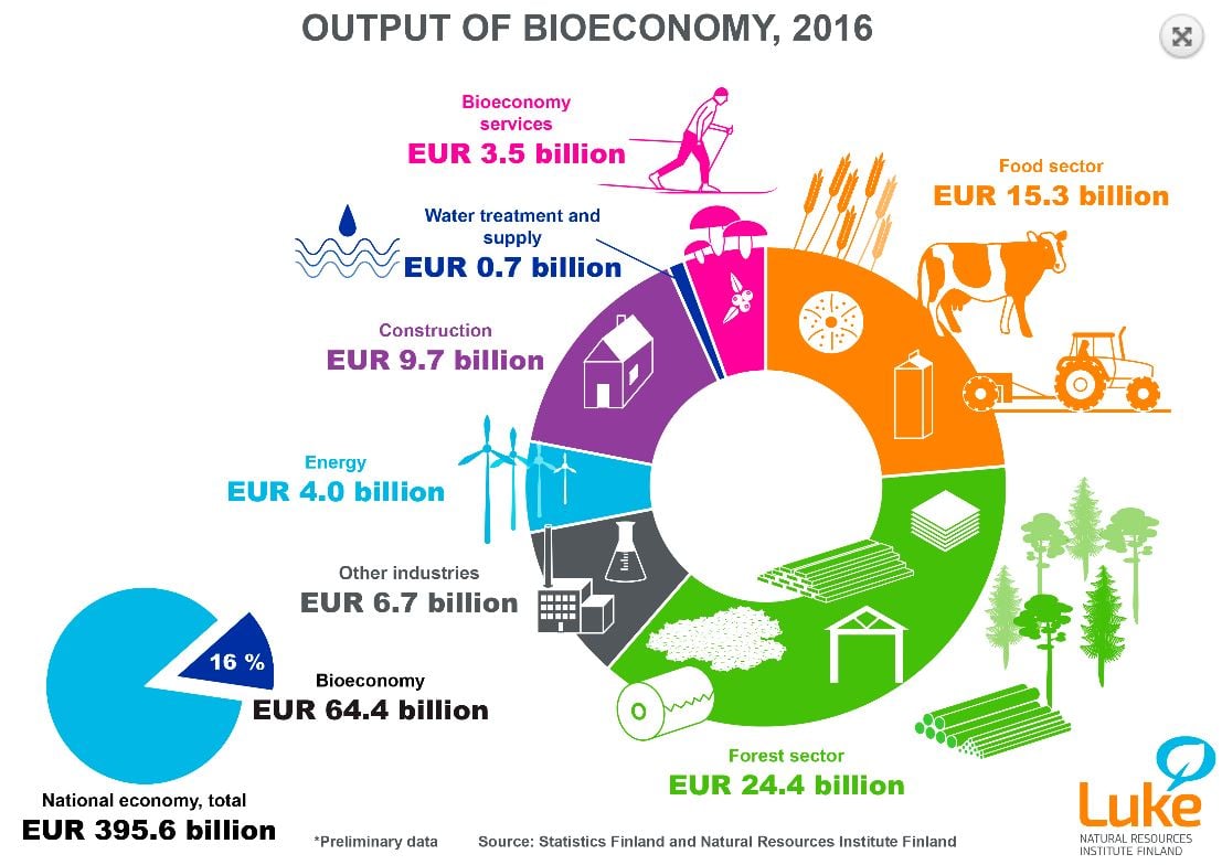 As Global Bioeconomy Continues to Grow, Finland’s Forest Sector Leads the Way