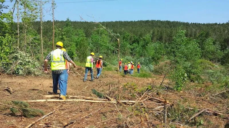 Forest Industry Workforce: A Critical Component for a Climate Conscious Economy