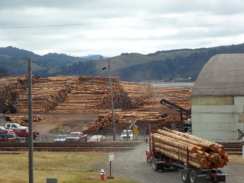 Port of Coos Bay Humming with Log Exports