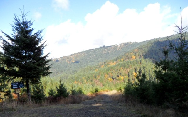 Oregon Small Woodlands: A Tradition of Superior Land Stewardship