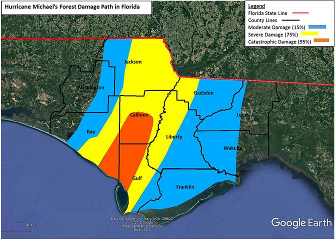 Can Georgia/Florida Market Handle Impacts of New Timber Demand?