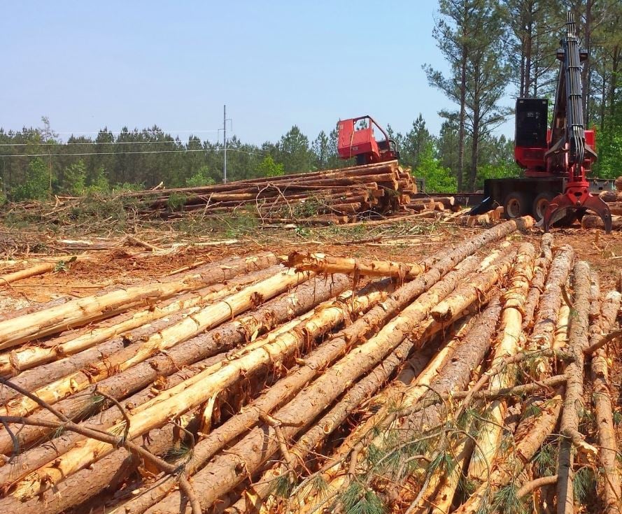 The Economics of Pulpwood Supply: New Markets are Essential