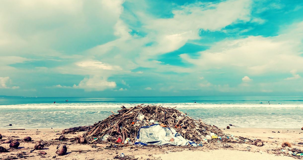 Sustainability Trends: What’s Driving the Anti-Plastics Movement?
