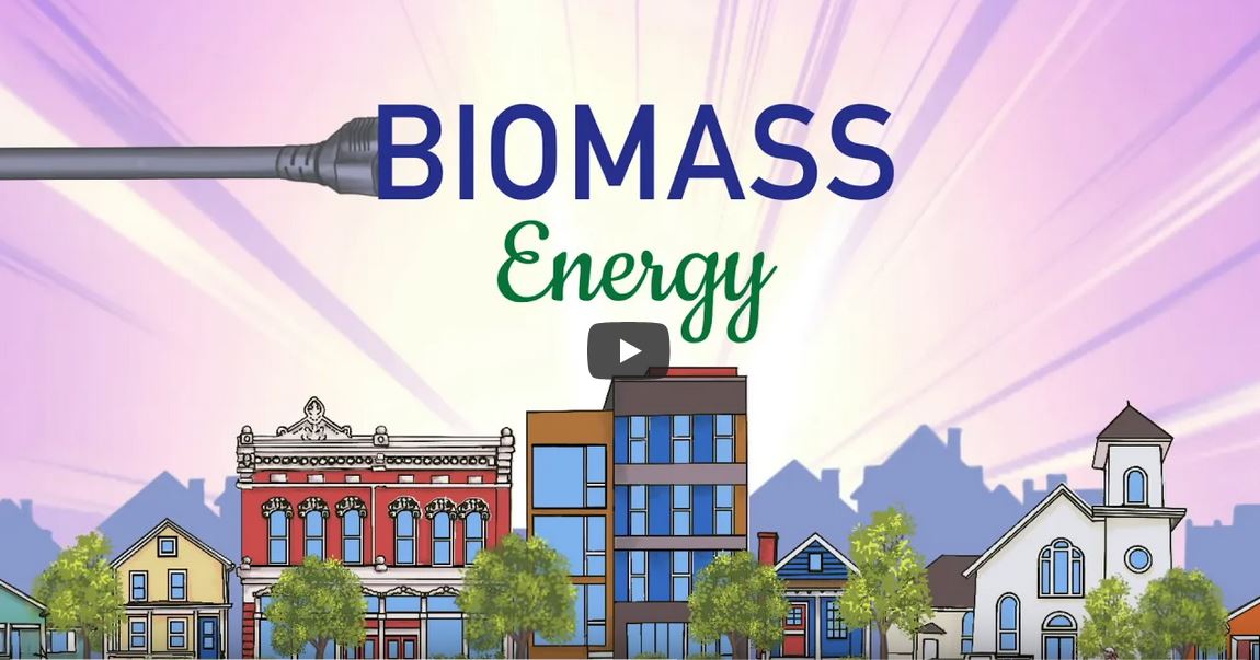 Biomass Power: Championing Renewable Resources