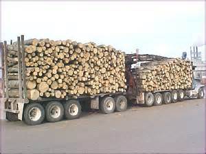 Timber Prices & Inventories Plummet in the Lake States