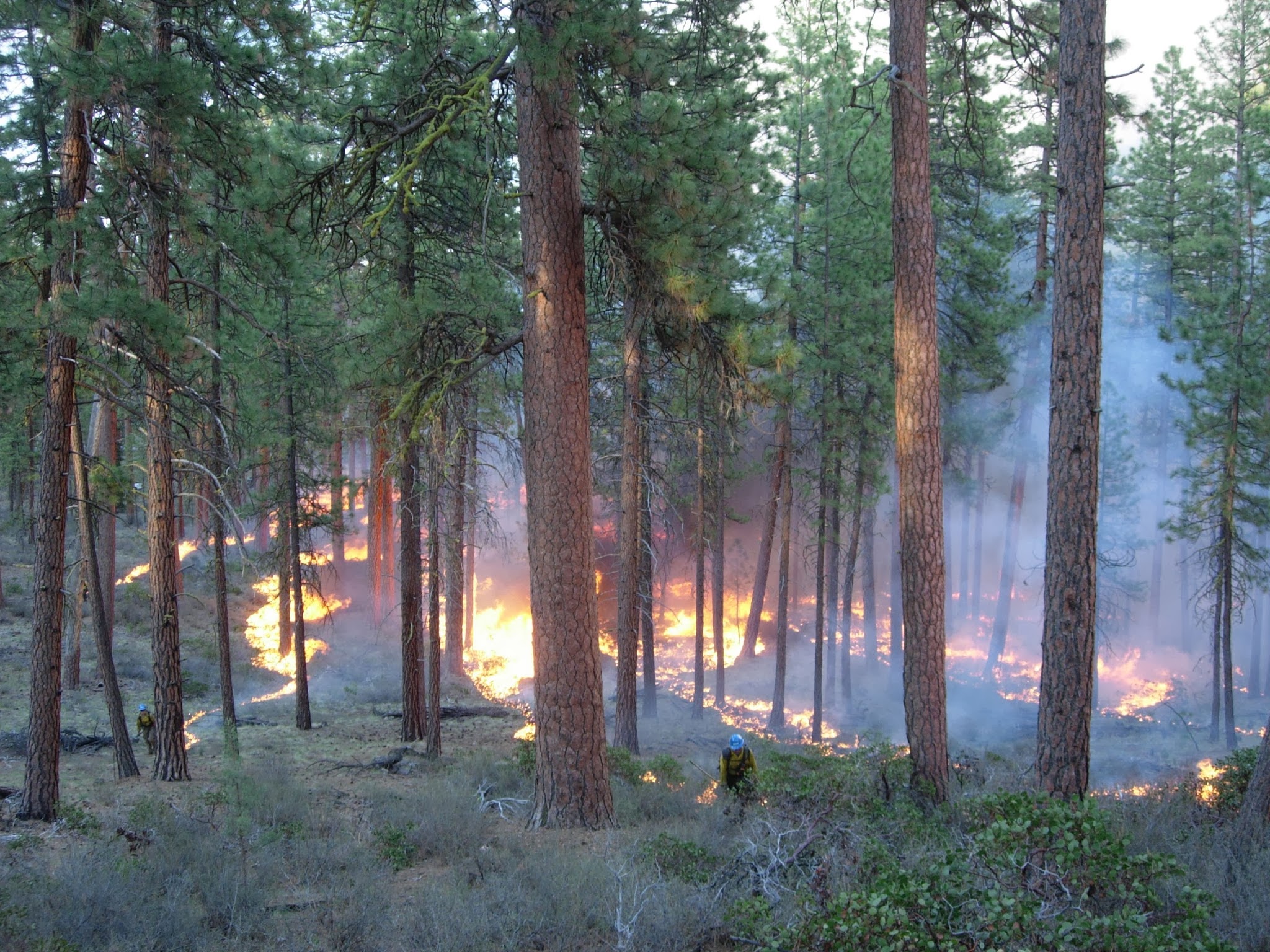 Why Wildfire Solutions Require More Than Money